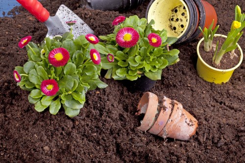 Decking services in Crouch End for a stylish garden platform