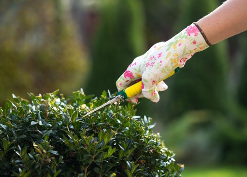 Gardeners Crouch End working in a leafy front garden