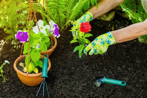 Gardeners Crouch End working safely in a residential garden