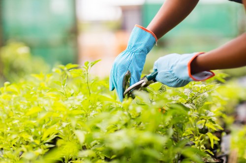 Annual review of Gardeners Crouch End anti-slavery controls