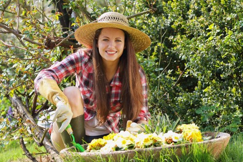 Seasonal lawn mowing in a Crouch End property