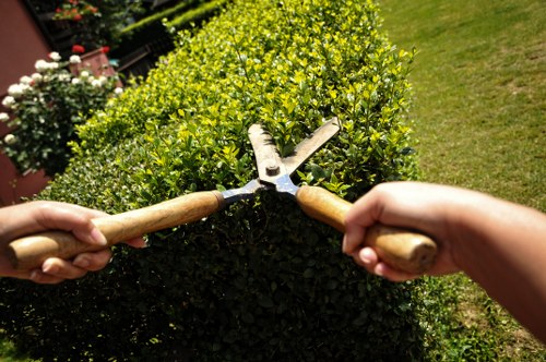Team using safe handling methods during garden work