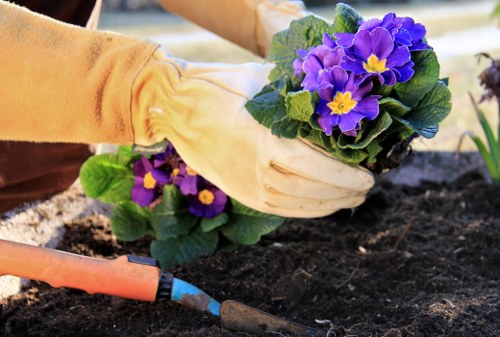 Professional discussion during a gardening complaint review