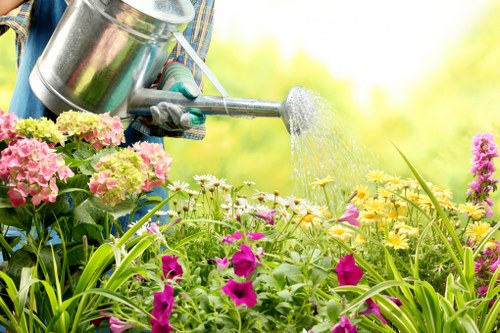 Local gardening team maintaining a neat residential garden in Crouch End