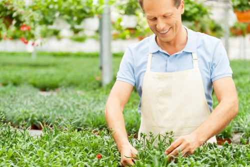 Seasonal lawn care services for Crouch End properties
