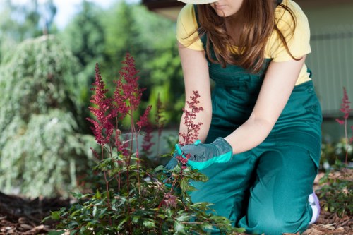 A well-kept Crouch End garden with seasonal planting