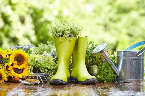 Beautiful low-maintenance garden maintained by Crouch End gardening services