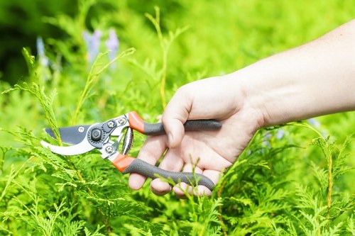 Accessibility statement content for Crouch End gardening services