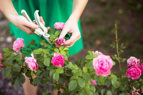 Reusable garden items prepared for charity donation