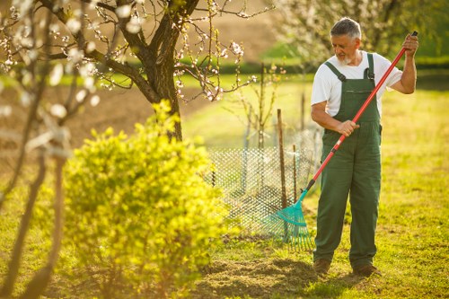 Aeration and weed control for lawns in Crouch End