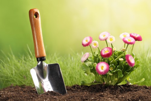 Seasonal lawn and garden maintenance for a Crouch End home