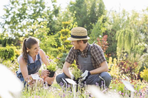 Sustainable garden waste separation in a Crouch End setting