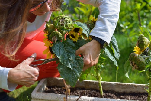 Cookie policy summary for Gardeners Crouch End